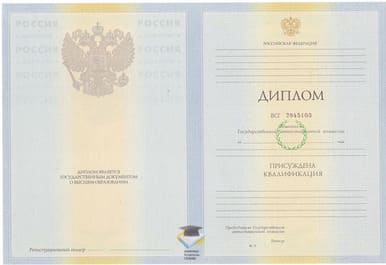 Диплом ХИИК СибГУТИ 2010-2011 годов